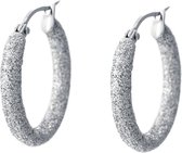 Viva Jewellery strass oorringen klein zilver