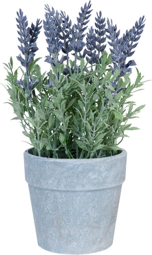 Clayre & Eef Decoratie lavendel in pot 25 cm