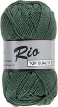 Lammy yarns Rio katoen garen - donker groen (072) - naald 3 a 3,5 mm - 1 bol