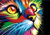 Kleurrijke Kat Schilderen op Nummer Volwassenen & Kinderen met Frame – Paint By Number met Canvas Schildersdoek 40x50 & Acrylverf