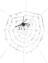 "Reuze spinnenweb met spin 2.90 m Halloween  - Feestdecoratievoorwerp - One size"