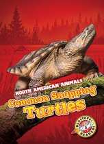 North American Animals - Common Snapping Turtles