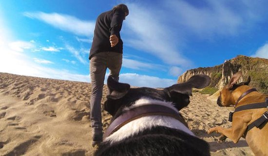 Beste GoPro Hondenharnas - Onze top 3!
