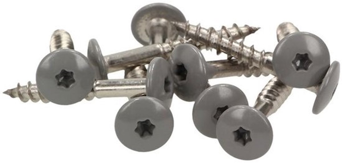 Gevelschroeven RVS V4A 5,5 x 45 mm met Platte Kop voor Buitenmontage