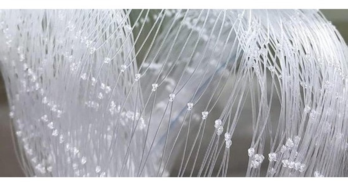 Kattenveiligheidsnet - Beschermnet Huisdier - Balkon Beveiligen - Transparant Nylon Materiaal - Diverse Maten - Transparant
