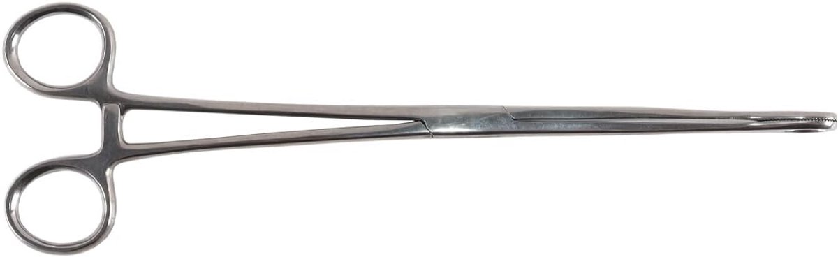 Dailygoods - Reptielen Voedertang van Roestvrij Staal 25 cm