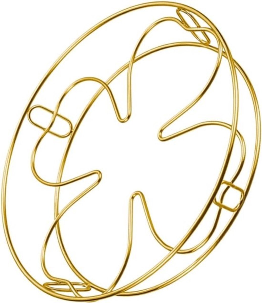 Stoomrek RVS - Kookrek Pan - Gezond Koken - Veelzijdig Ontwerp - 24.5 cm - Goud