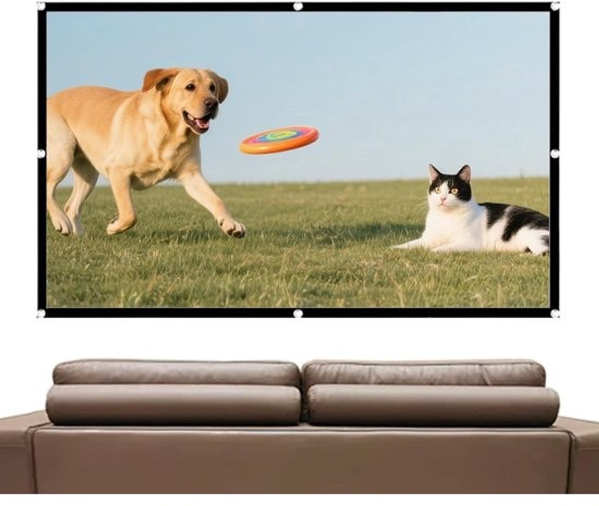 Projectiescherm - Draagbaar Theater - Buiten Films Kijken - Opvouwbaar Ontwerp - 60 inch - Wit