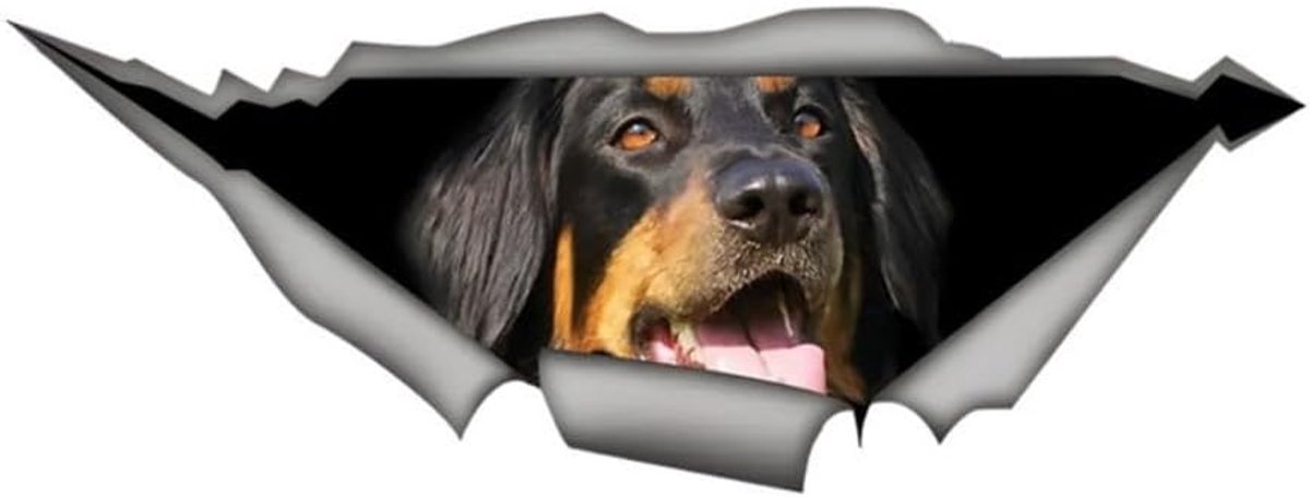 Sticker, 3D-scheureffect, waterdicht reflecterend, grappige stickers voor laptop, koelkast, auto, bumper, raam (22 cm)