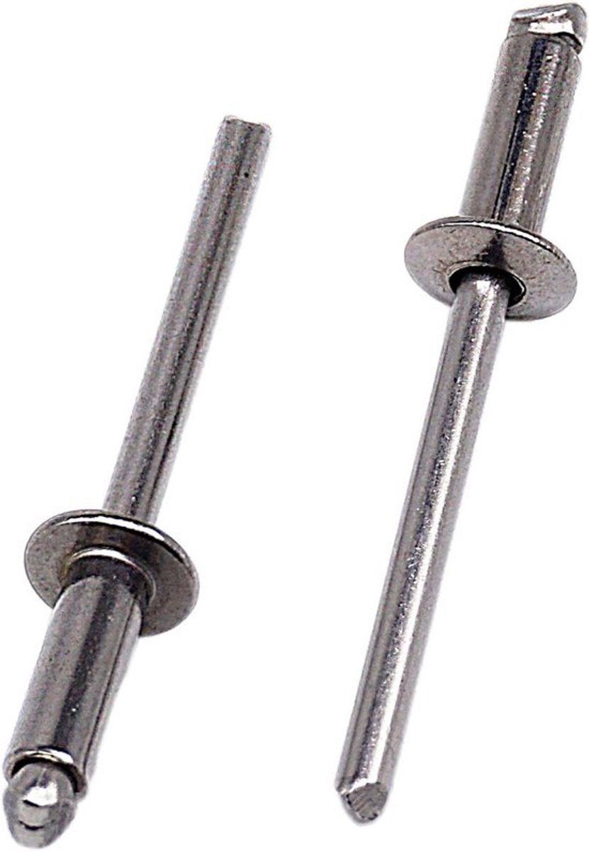 50 stuks RVS blindklinknagels 4x12mm met bolkop - Universele popnagels voor montage