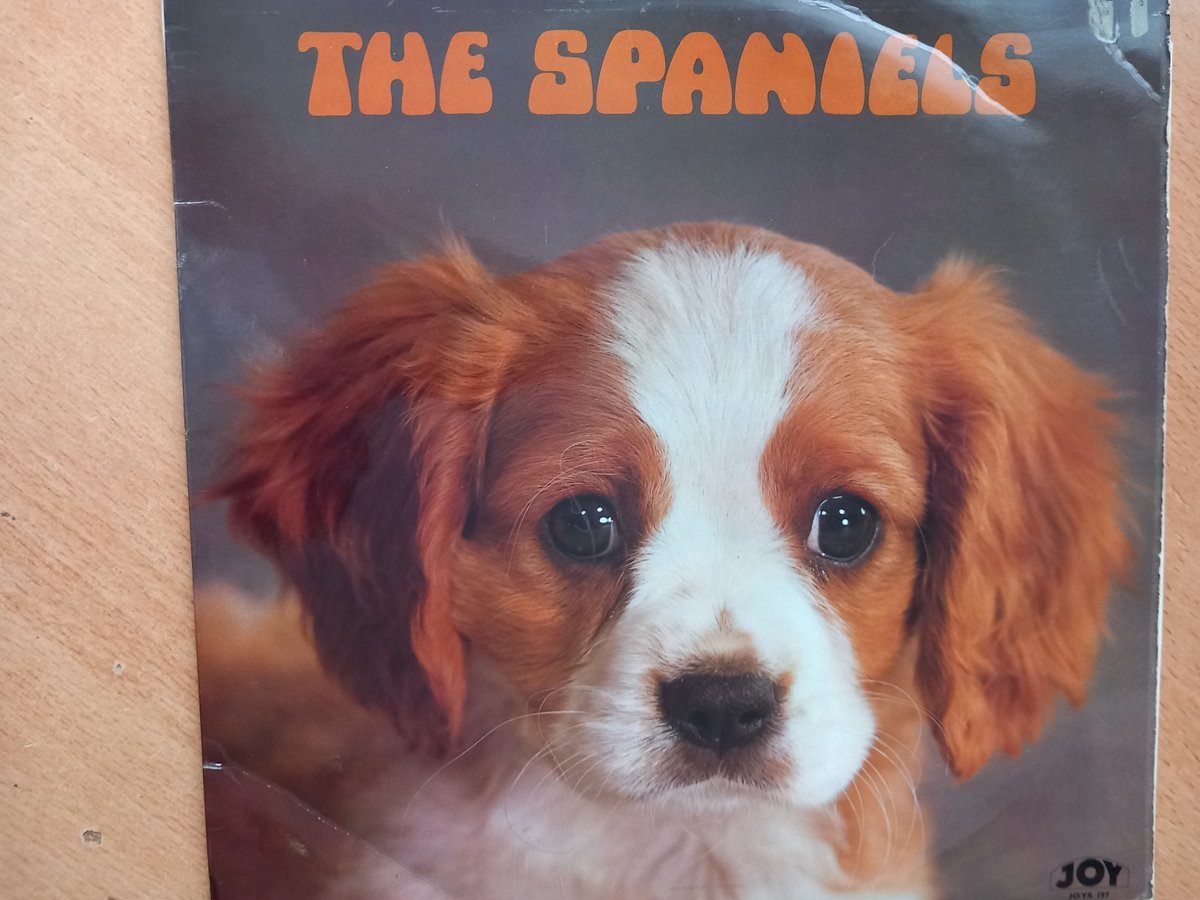 THE SPANIELS - SAME ( LP )