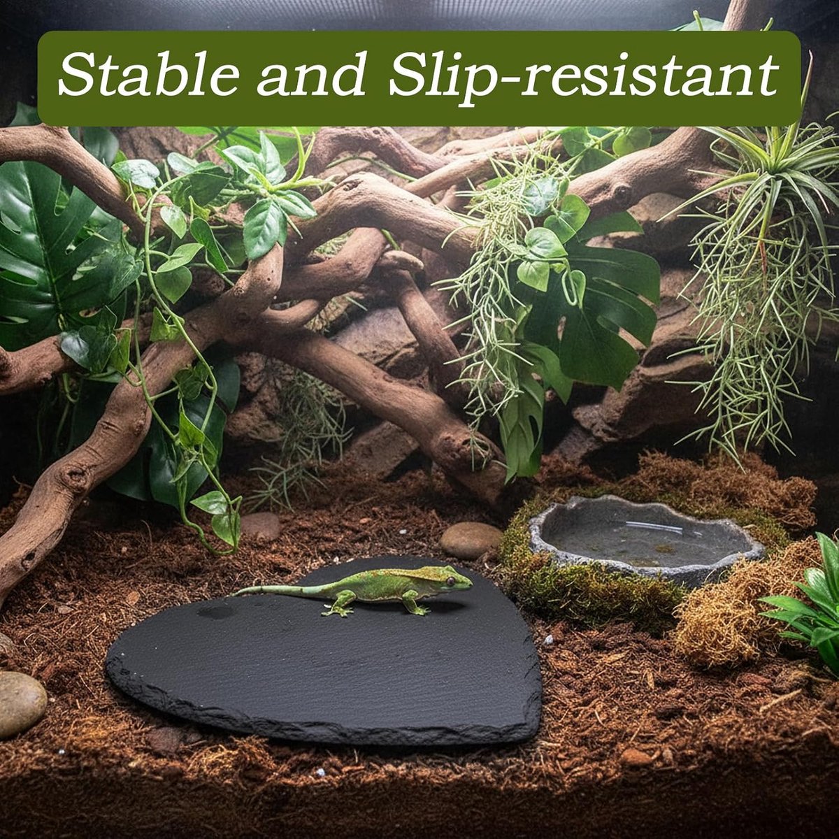 20 x 20 cm reptielen zonneplatform, leisteen zonneplatform, voederbak, hartvorm, reptielen, platform voor schildpadden, schildpadden, hagedissen, kameleons, kikkers