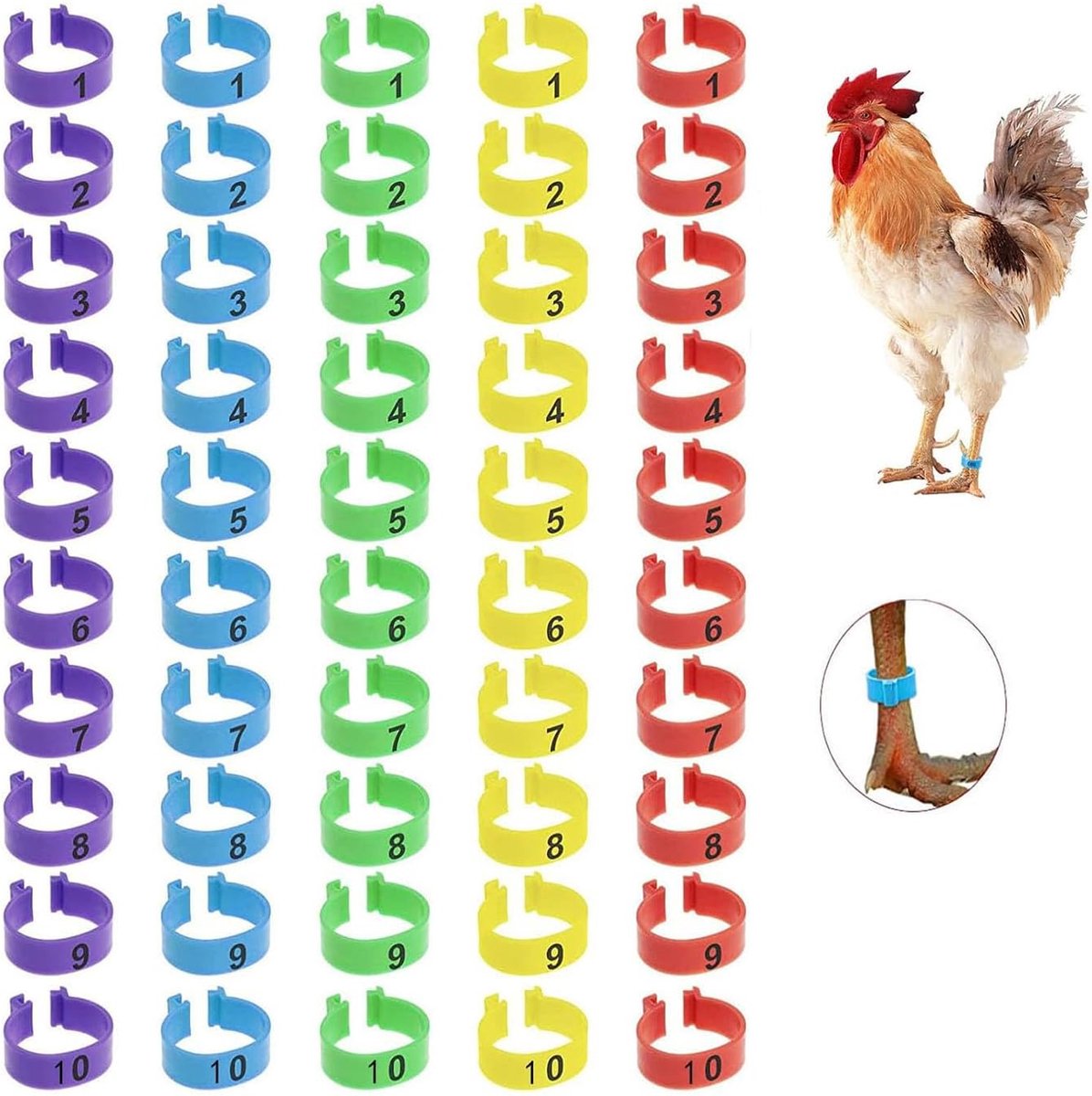 50 stuks kippenbeenbanden, nummercodering, identificatie, veelkleurige clip-on ringen, tags voor benen, ronde tagclips voor kuiken, eend, duif, gans