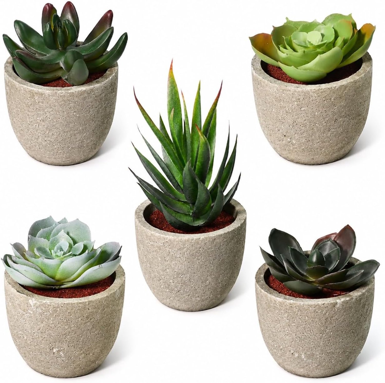 Faux succulente plant pot - 1 stuk - decoratief - onderhoudsvrij - Homevero