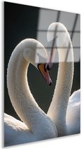 Acrylglas schilderij - Romantisch - Zwanen - Vogels - Fotografie - Muur decoratie slaapkamer - Hal - Dieren glas - 70x105 cm