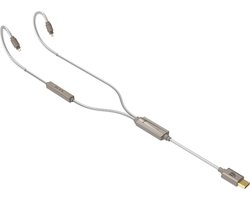 iFi Audio GO cable