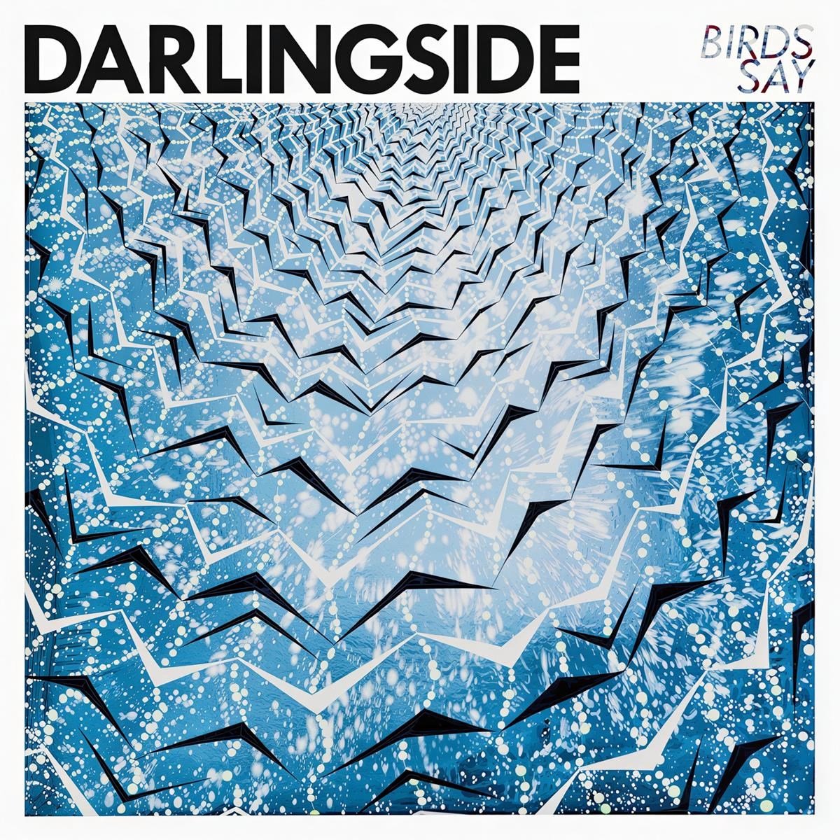 Birds Say (Coloured Vinyl)
