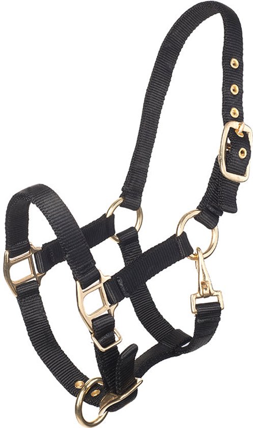 Zwart halster met gouden gespen en ringen.
