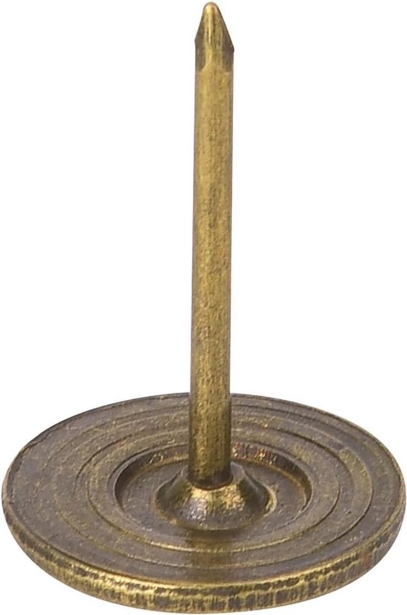 Set van 100 Meubelspijkers, Antieke Bekleding Spijkers met Grote Platte Kop (14x20mm) voor Meubelrestauratie en Interieurdecoratie