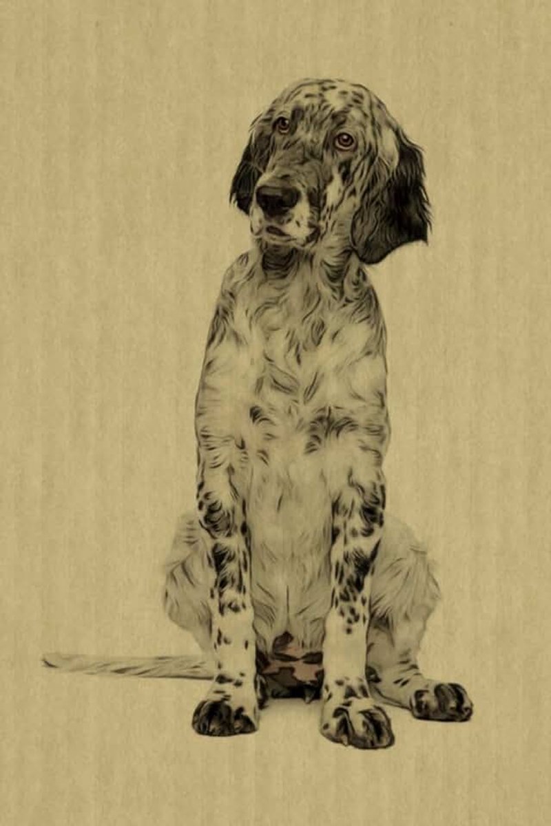 Setter: Artified Pets Journal/Notebook/Diary
