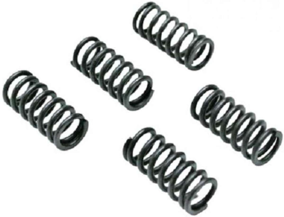 Performance koppelingsveer voor Derbi 50 motor Euro2 motor 1996-2005 Gloednieuw