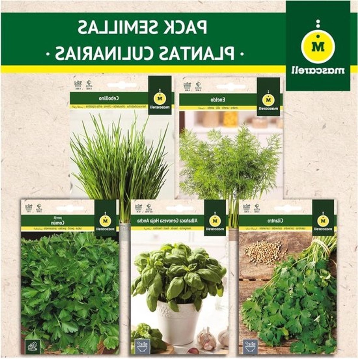 Zaden Mascarell - PAKKET CULINAIRE PLANTEN Gemakkelijk Thuis Te Kweken Bevat Peterselie Koriander Bieslook Basilicum & Dille 75 Gram