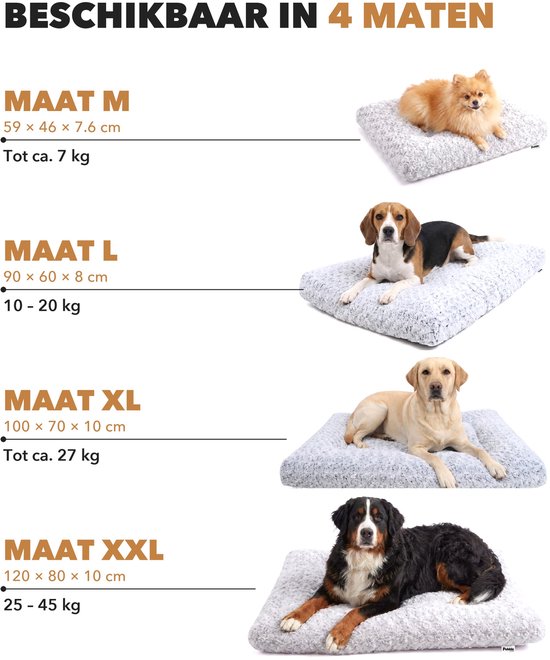 Vier honden van verschillende rassen liggen op comfortabele grijze hondenkussens in verschillende maten. Tekst 'BESCHIKBAAR IN 4 MATEN' bovenaan.