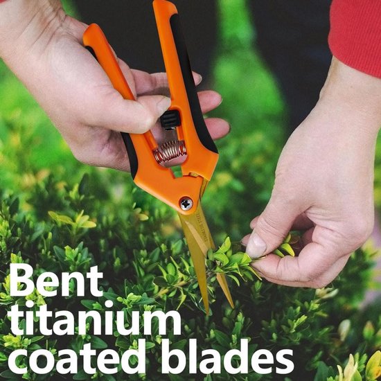 2 stuks Oogstschaar met Gebogen Titanium Gecoate Bladen Snoeischaar voor Tuin Bonsai Bloemen Planten Oogst Fruit Boeket Rozenschaar (2stuks-Gebogen+Titanium) — afbeelding 3
