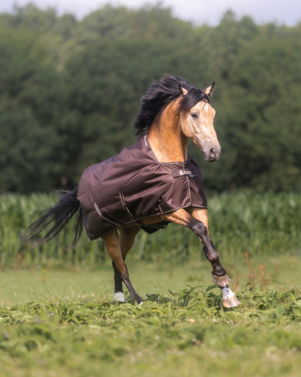 Bucas Irish Turnout 50 + Neck Outdoordeken met Hals 50g 205 Espresso