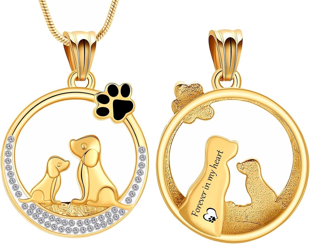 Crematie Sieraden Urn Kettingen Met Mini Hond Poot voor As Memorial Keepsake Hanger voor Vrouwen Man Geschenken Met Trechter Kit & Tas