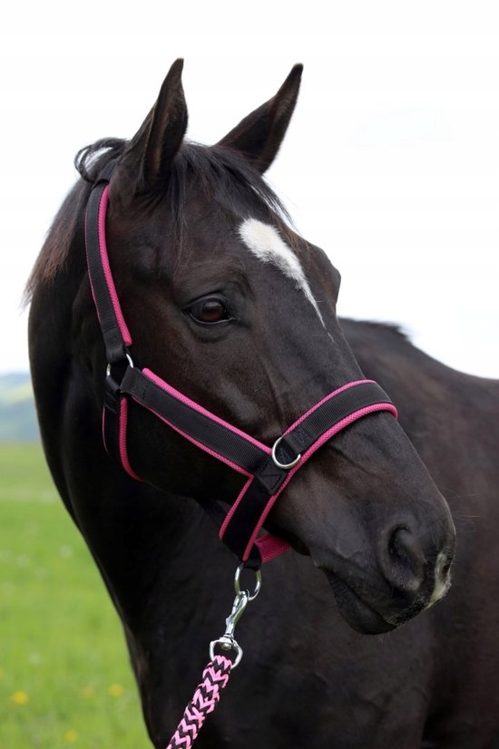 Stabiele Rode Halster voor Paarden - Maat XS Stabiele Rode Halster voor Paarden - Maat XS