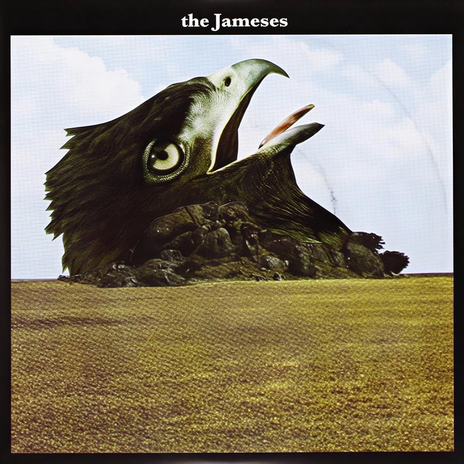 The Jameses - Caribou (7" Single)