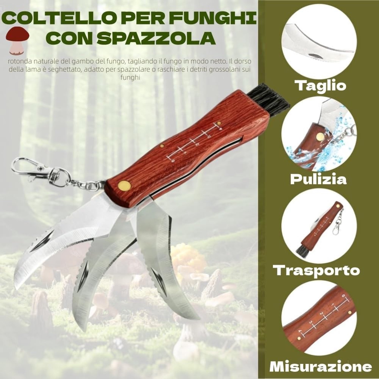 Paddenstoelenmes met Borstel, Jacht Tas, Kompas en 2 Handschoenen, Mes Slijper en Houten Handvat voor Mycologie en Buitenactiviteiten