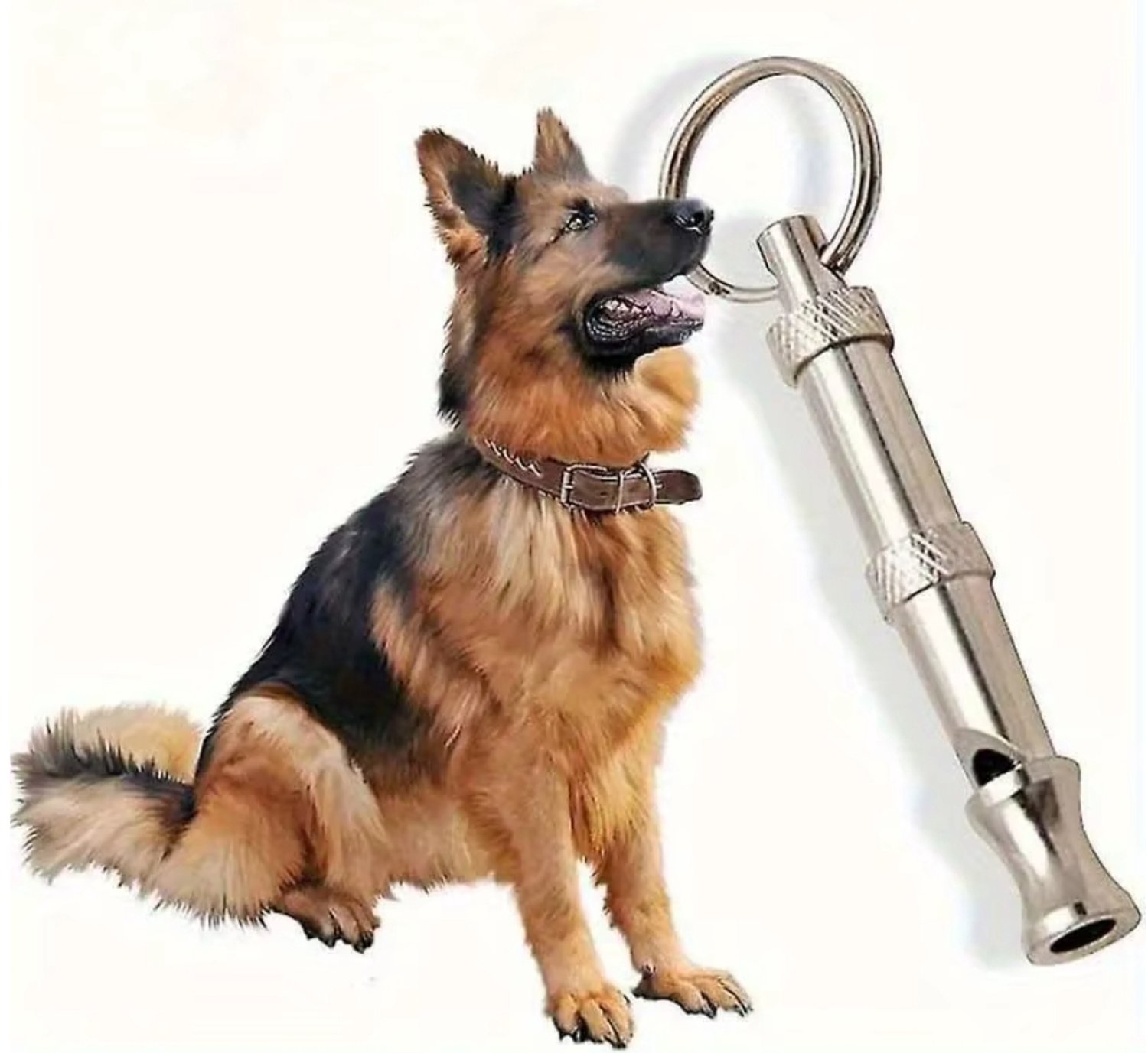 Actie4you® - RVS - Honden fluitje met aanpasbare frequenties - Training Fluit - Honden Fluit