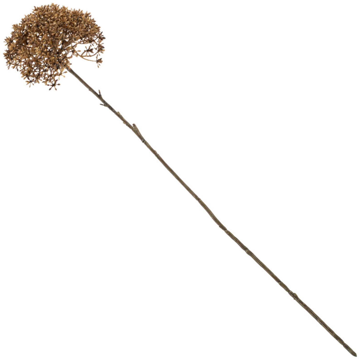 Kunstbol Trachelium 65cm bruin