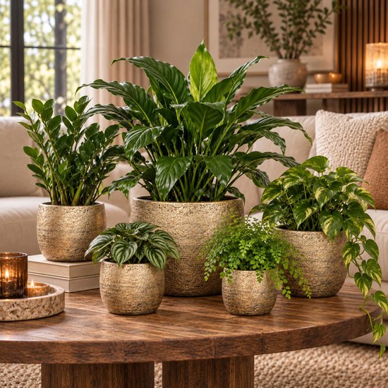 Gouden bloempotten met textuur, met verschillende groene planten, op een salontafel.