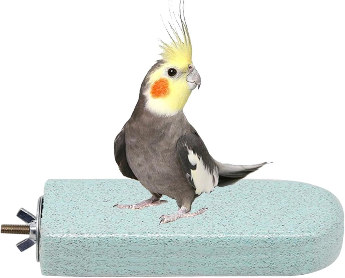 Baars Vogel Snavel Slijpen Kalksteen Stand Tray
