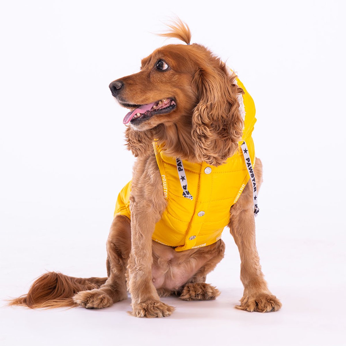 Pawstar Railway - Hondenbodywarmer - Geel - XL