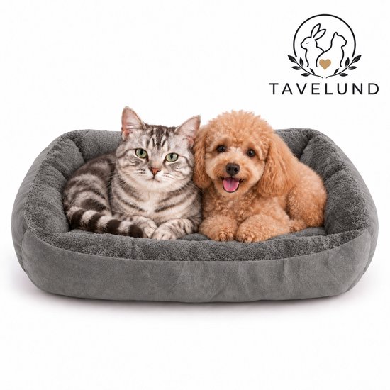 Panier gris pour animaux avec un chat tigré et un petit caniche brun allongés dedans.