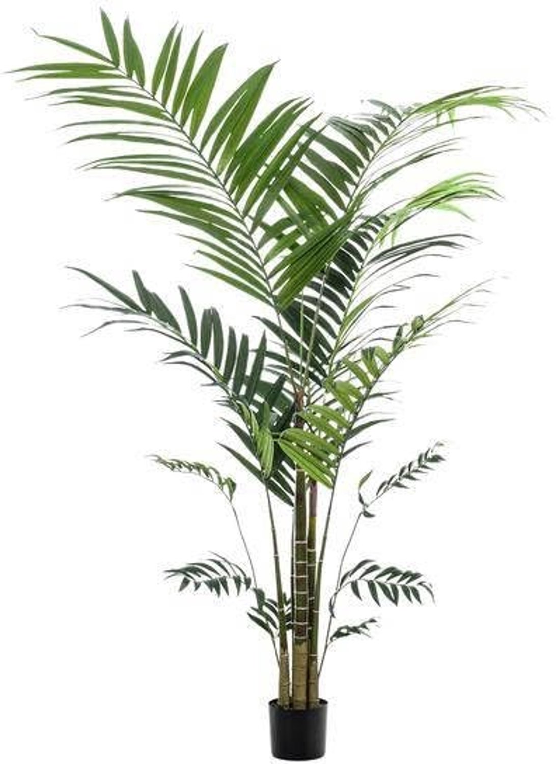 Kentia Palm Kunstplant 210 cm