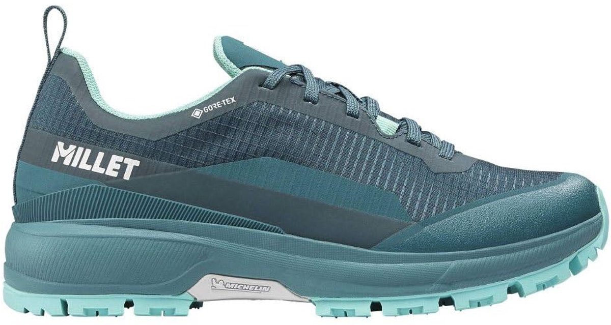 Millet Wanaka Goretex Wandelschoenen 1/3 Vrouw Overige kleuren