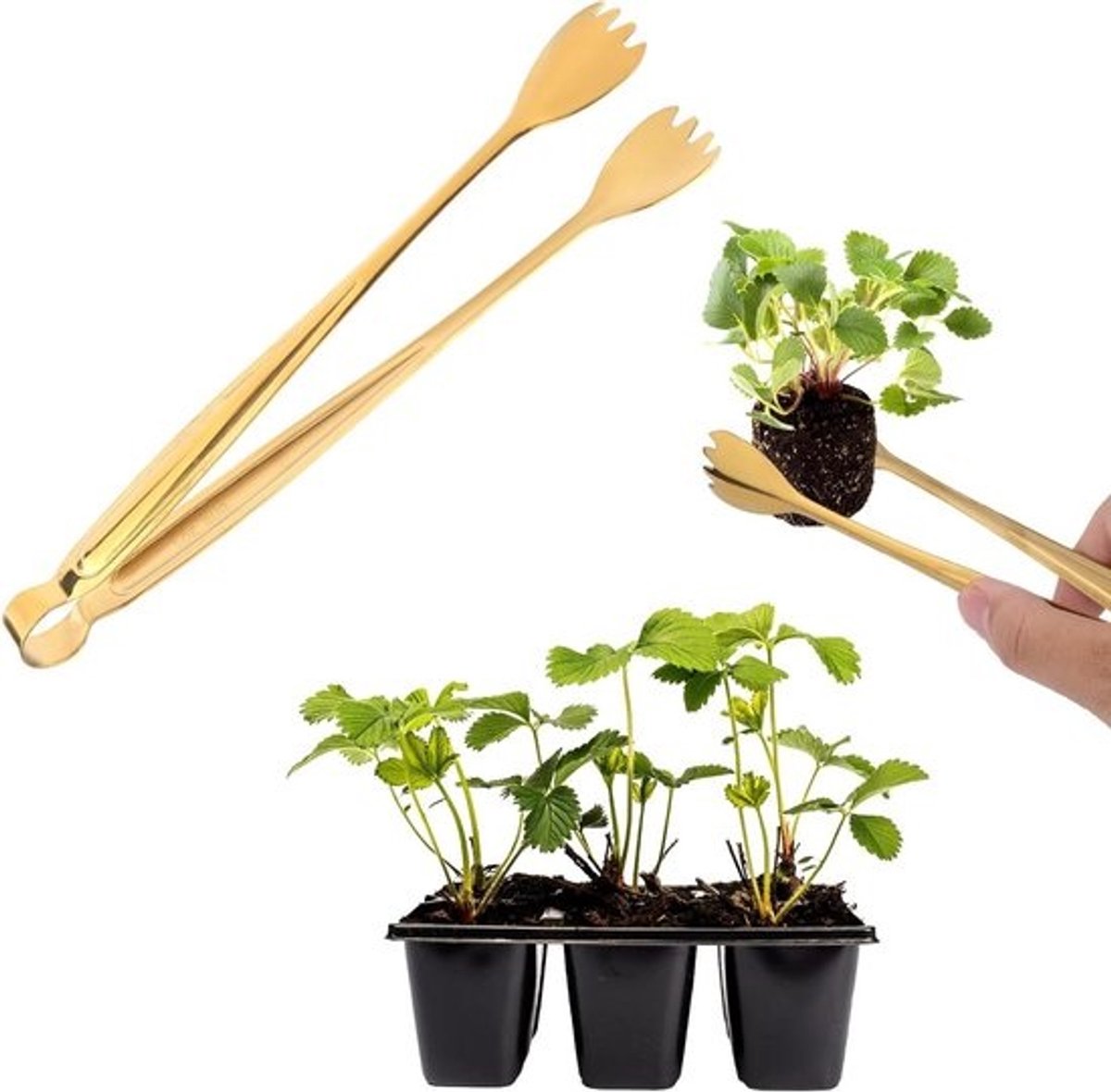 Zaailingverplantingstangen - 20,5 cm - roestvrij staal - zaailinggereedschap - tuinbenodigdheden - wortelschade verminderen - 2 stuks