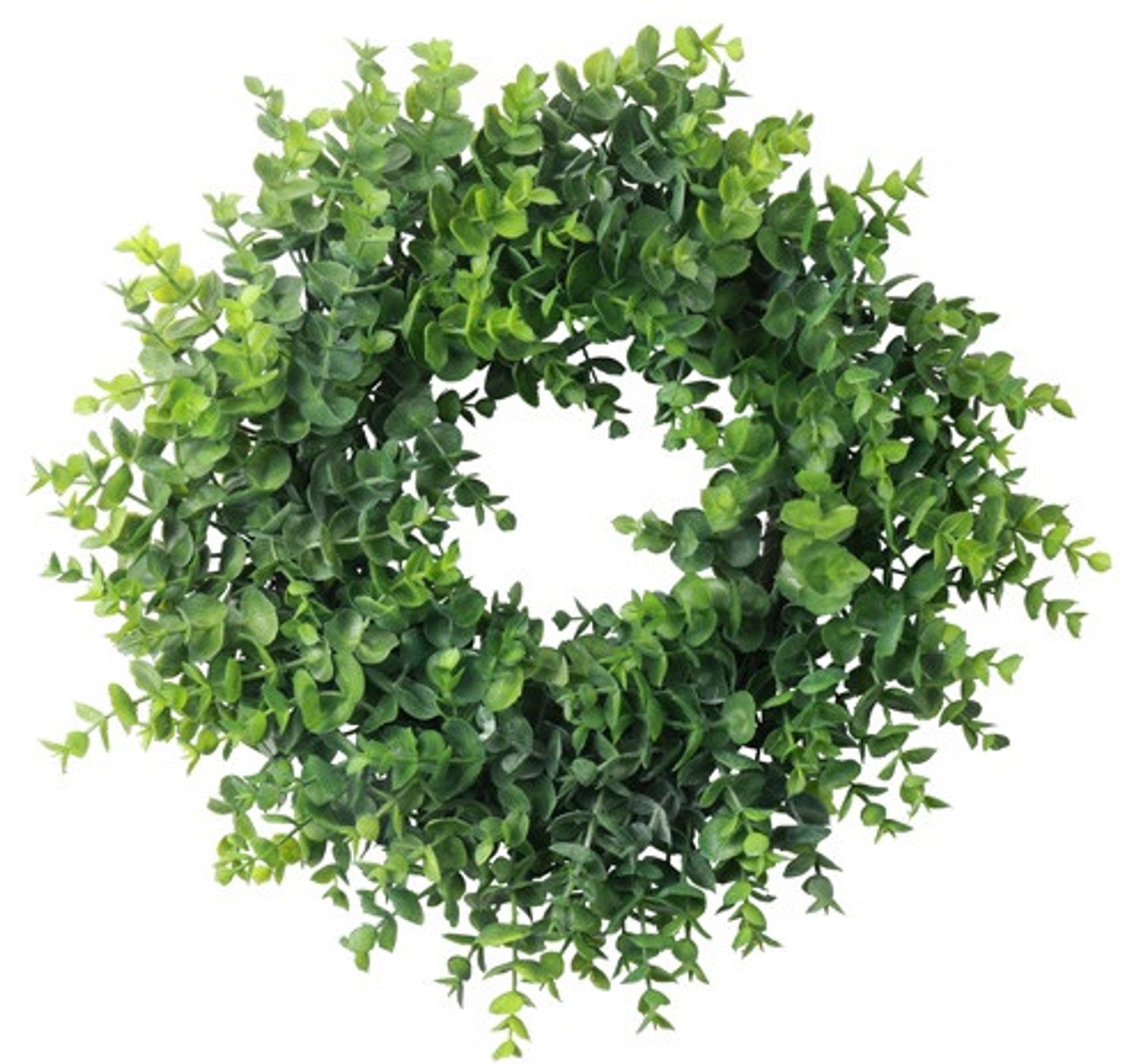 Countryfield Eucalyptus Krans S Groen 41x15x41 cm – Decoratieve Krans – Groene Wand- en Deurdecoratie