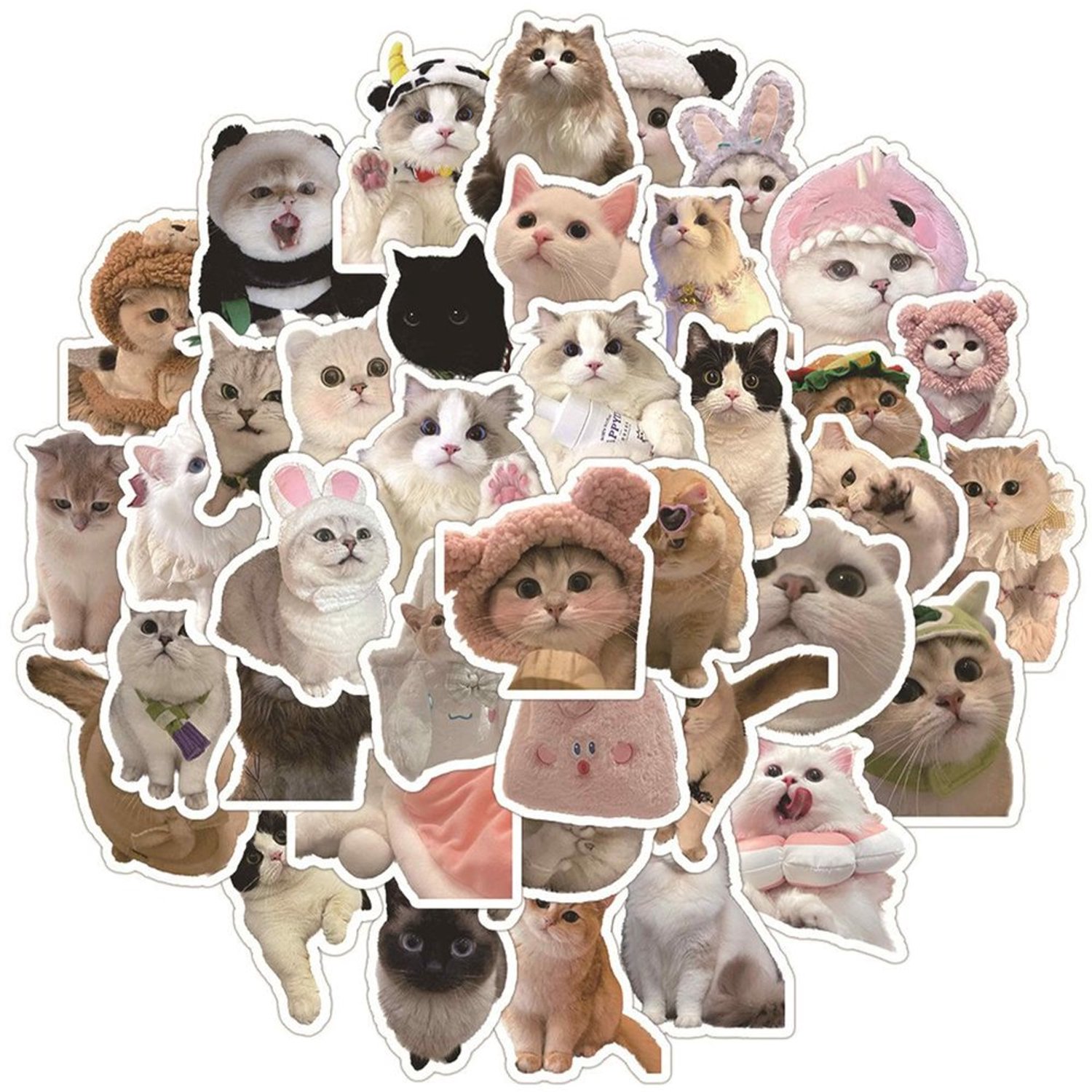 Set van 60 Waterdichte Vinyl Kat Stickers voor Kattenliefhebbers