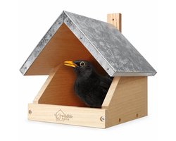 Willdife Home - Nestkast voor merels - Geschikt voor halfholenbroeders zoals merels, roodborstjes en kwikstaart - Houten elementen met schroeven bevestigd - 190 x 220 x 255mm (L x B x H)
