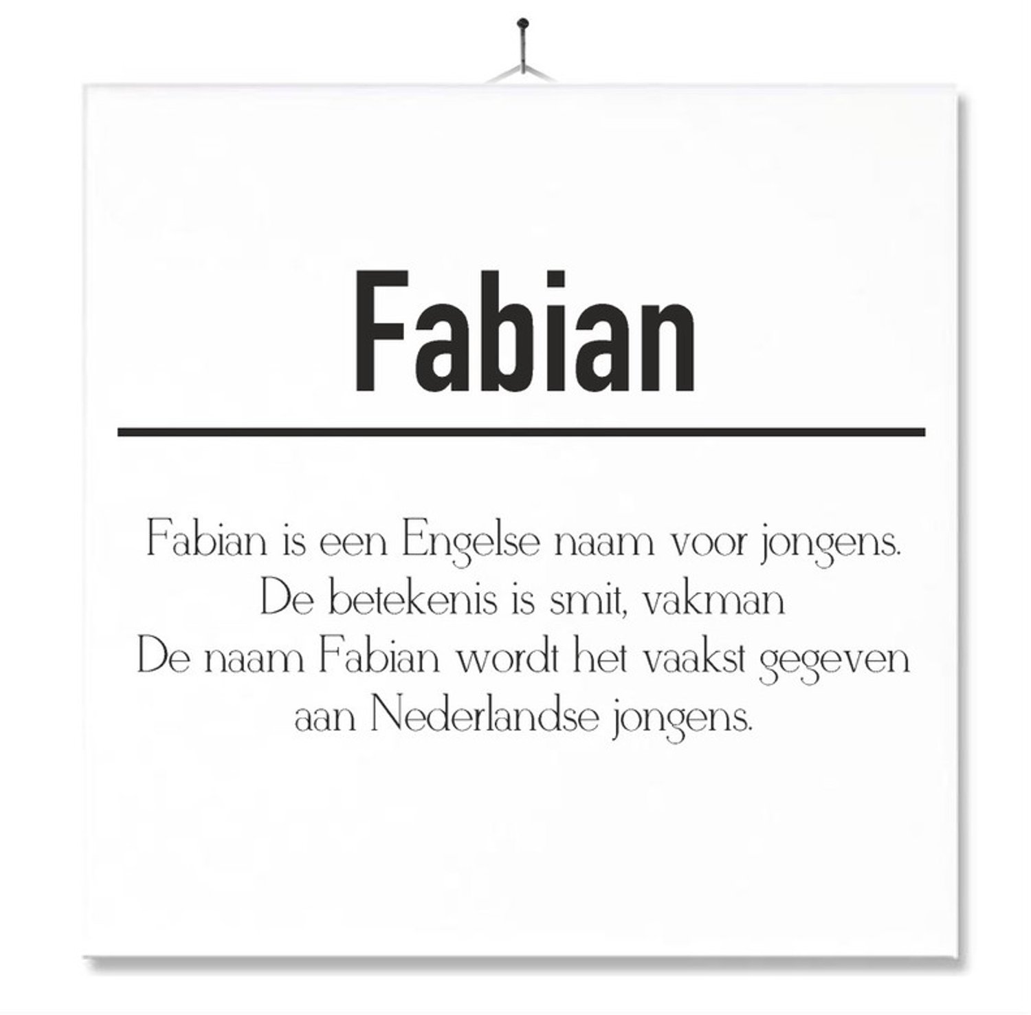 MC Living Tegel Met Opdruk | Betekenis | Kado | Cadeau | Met Naam - Fabian Multi-Color