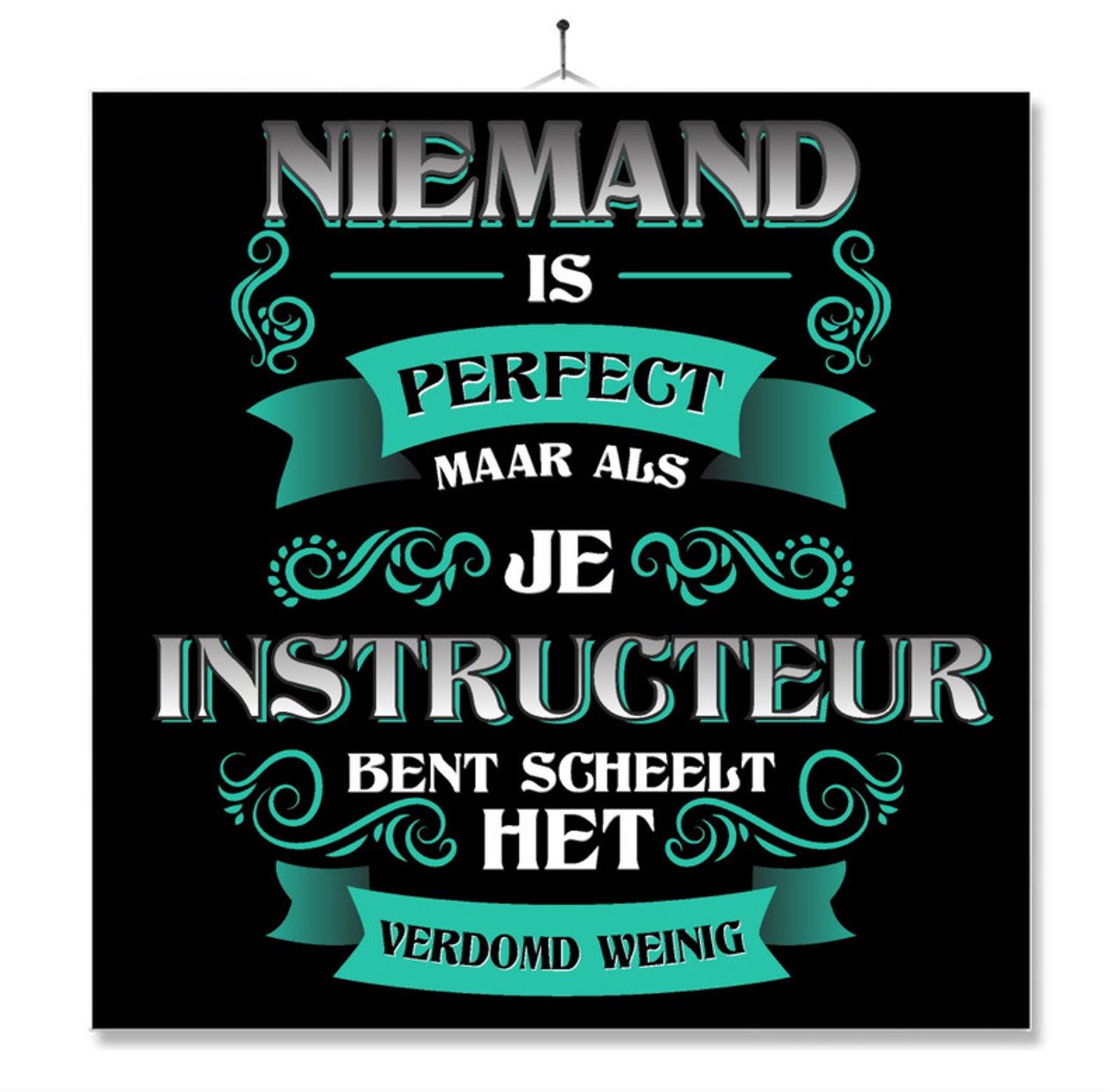 MC Living Tegel Met Opdruk | Kado | Cadeau | Niemand Is Perfect | Beroep | Instructeur Multi-Color