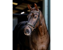 LeMieux Arika Dressage Hoofdstel Full Zwart/Zilver