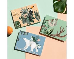 Joons Wenskaarten Set Blanco - 21 Stuks A6 Kaarten met Dieren - Toekan, IJsbeer en Luiaard - Kaartjes om te Versturen - Kaartenset zonder Tekst voor Verjaardag, Bedankt of Zomaar
