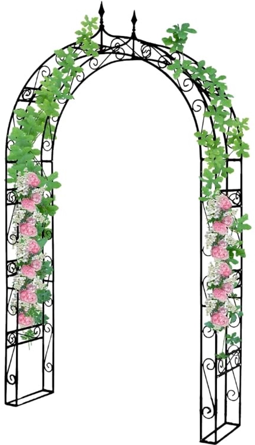 Rozenboog van Metaal 240 x 140 cm Zwart